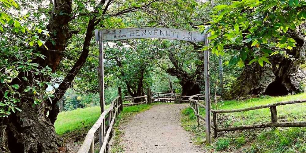 Geo-paleontological trail